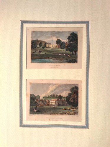 Stampa castelli residenze
