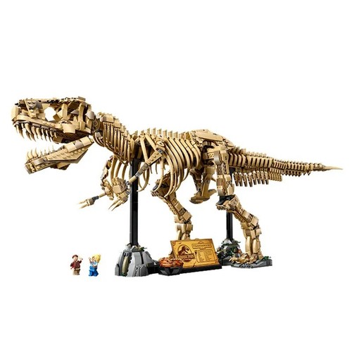 Fossili dinosauro - di,