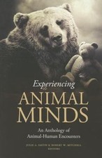 Critical Perspectives on