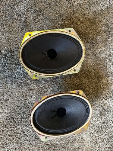 Telefunken midrange alnico - midrange,