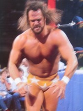WWF WRESTLING FROM
