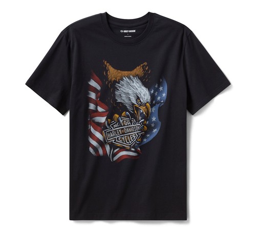 Harley davidson shirt uomo - davidson, t-shirt