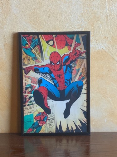 Quadro tela spider - quadro,