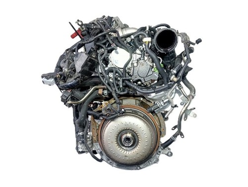 Motore nissan trail t32 - motore,