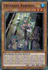 Crusadia Arboria - CYHO-EN007