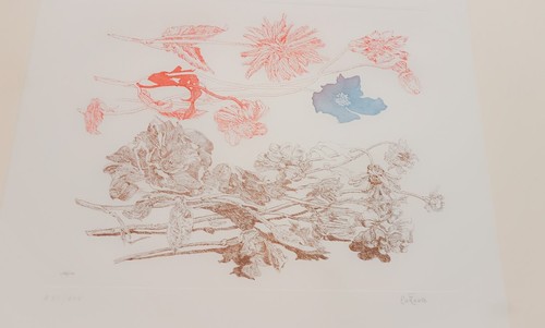 Carlo cattaneo incisione - ♥,