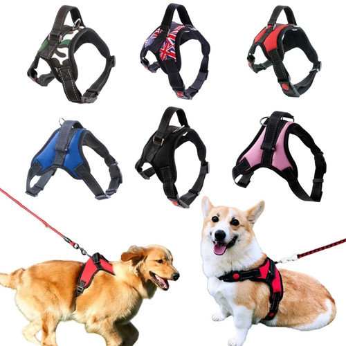 Pettorina per cani nylon - pettorina,