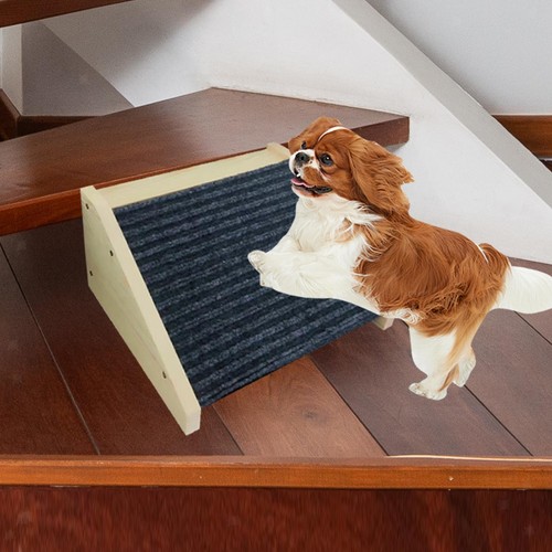 Rampa per cani - per, scale