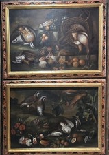 Coppia grandi nature morte - nature,