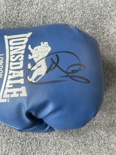 Guantone boxe firmato joe - guantone,