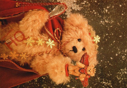 Picture postcard teddy bears - teddy,