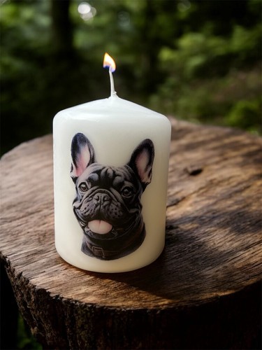Candela cane bulldog francese - cane,