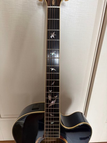 Chitarra acustica yamaha - chitarra,