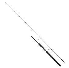 Shimano Speedmaster R Jigging