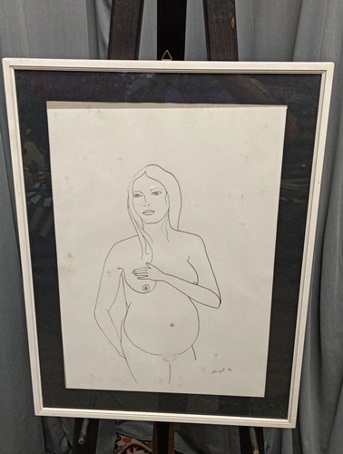 Quadro fatto penna - fatto,
