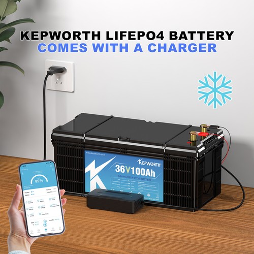 Lifepo4 12v 24v 36v 48v - 24v, 100ah