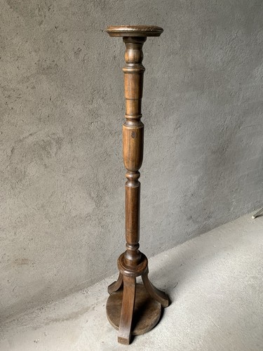 Colonna portavaso legno rovere - legno,