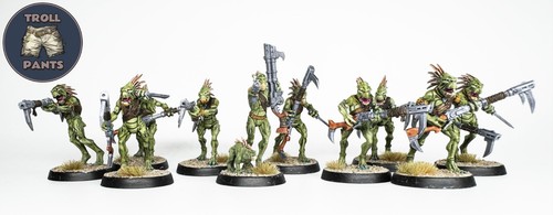 Kroot carnivores squad - 10,