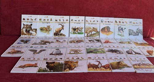Arca degli animali - animali,