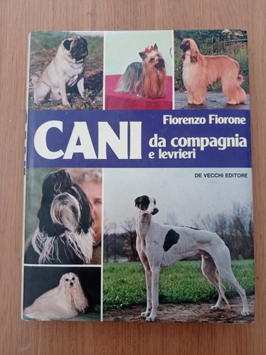 Cani compagnia levrieri - compagnia,