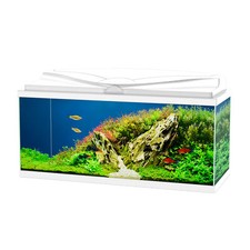 ASKOLL Ciao Aqua 80 Led Acquario In Vetro Completo 80x30x41,5h cm