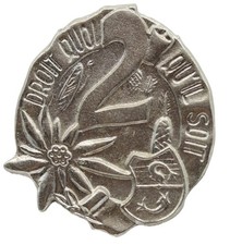 Distintivo 2 Reggimento Alpini