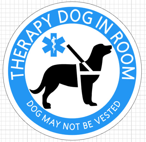 Cane terapia camera il - in,