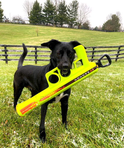 Lancia palline per cani - ,