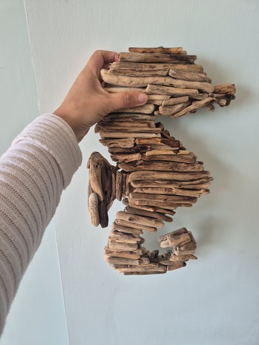 Cavaluccio marino driftwood - cavaluccio,
