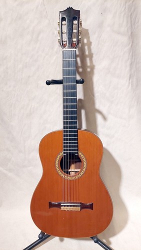 Chitarra tamura hiroshi - chitarra,