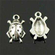 29019 Bomboniere 24pezzi