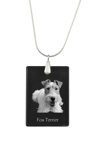 Fox terrier drahthaar - fox,