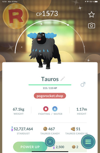 Shiny paldean tauros - paldean,