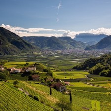 Alto Adige (Senesia) Bolzano