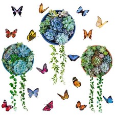 Per soggiorno succulente - 3d,