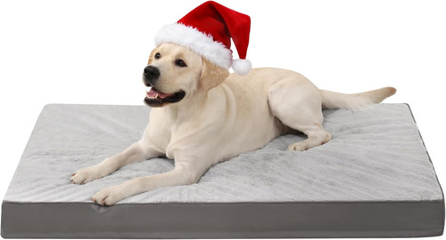 Cuccia cane interno - cuccia,