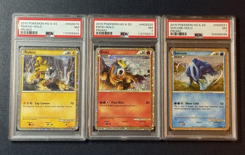 Raikou entei suicune hgss19 - raikou,