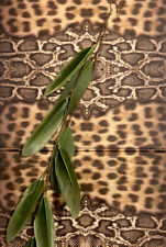 Mono Orecchino Lungo Piume Verdi Donna