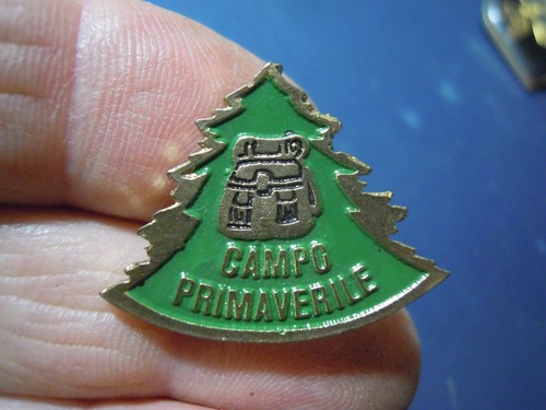 Pin spilla vintage - spilla,