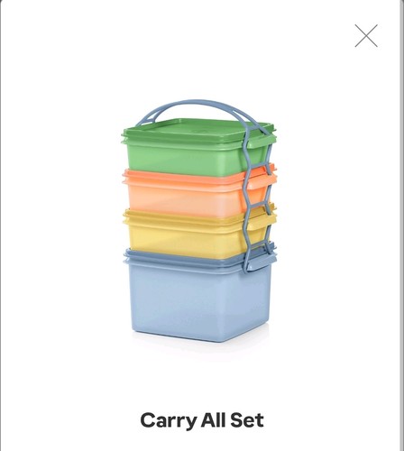 Tupperware piece carry - tupperware, carry-all