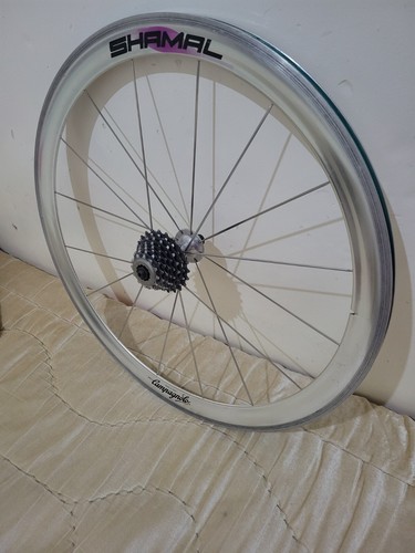 Ruota posteriore campagnolo - posteriore,