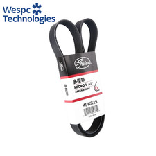 Gates 4PK980 Cintura per