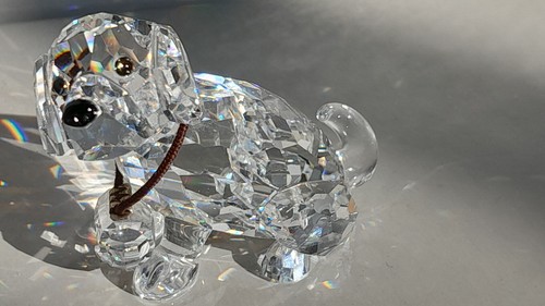 Swarovski cane san bernardo - cane,