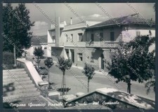 Grosseto Cinigiano foto FG cartolina ZF4563