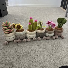 Piante di peluche Greenhouse