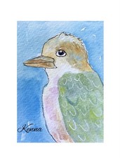 Aceo kenna kookaburra - by,