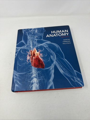 Human anatomy - human,
