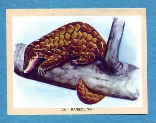 Naturama lampo 1968 - naturama,