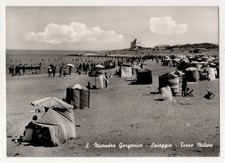 A6 CARTOLINA  SAN NICANDRO GARGANICO SPIAGGIA TORRE MILETO ANIMATA 1961 FOGGIA