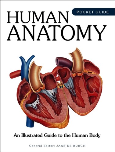 Human anatomy illustrated - an,
